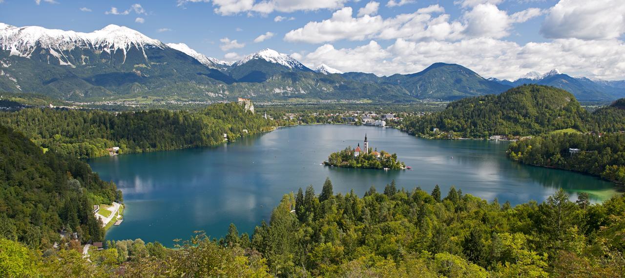 Vila Lipa Bled Exterior photo